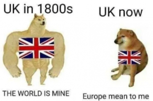 Brexit meme two dogs big one UK as world leader and now as a poor dog