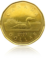 one canadian dollar coin loonie