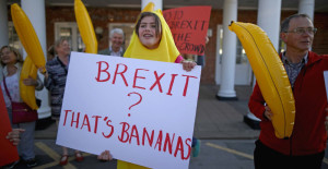 Brexit that is bananas a demonstrant holds a sign dressed in a banana costume